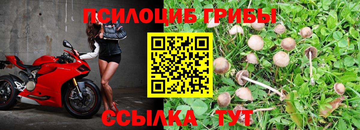 Галлюциногенные грибы ЛСД Люберцы